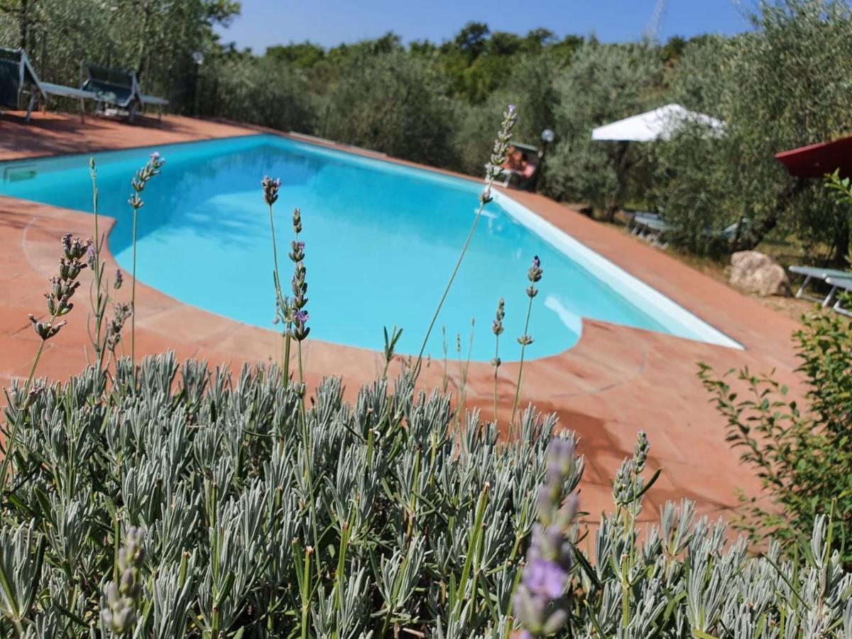 Agriturismo "Crocino In Chianti" Gaiole in Chianti Kültér fotó