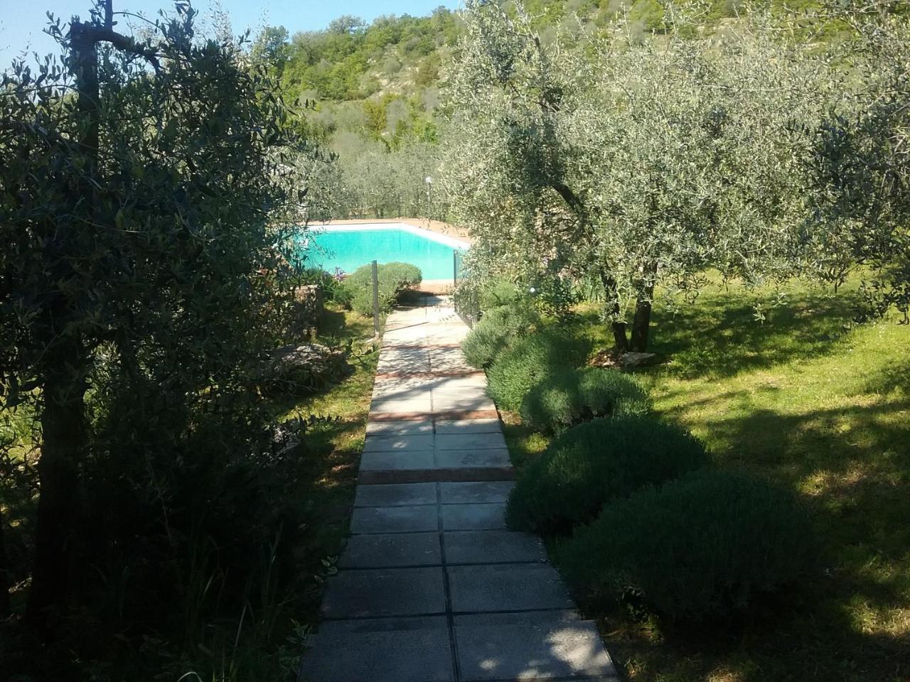 Agriturismo "Crocino In Chianti" Gaiole in Chianti Kültér fotó