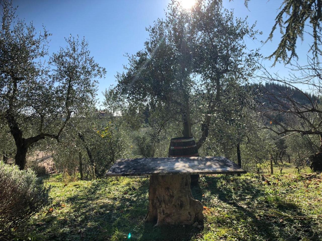 Agriturismo "Crocino In Chianti" Gaiole in Chianti Kültér fotó