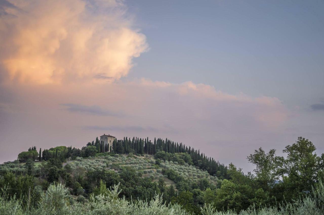 Agriturismo "Crocino In Chianti" Gaiole in Chianti Kültér fotó